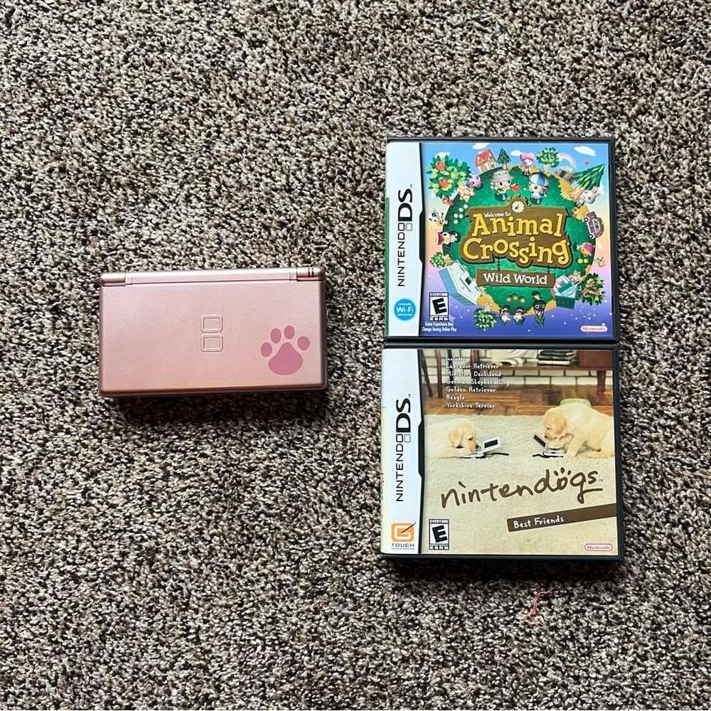 Nintendo DS
